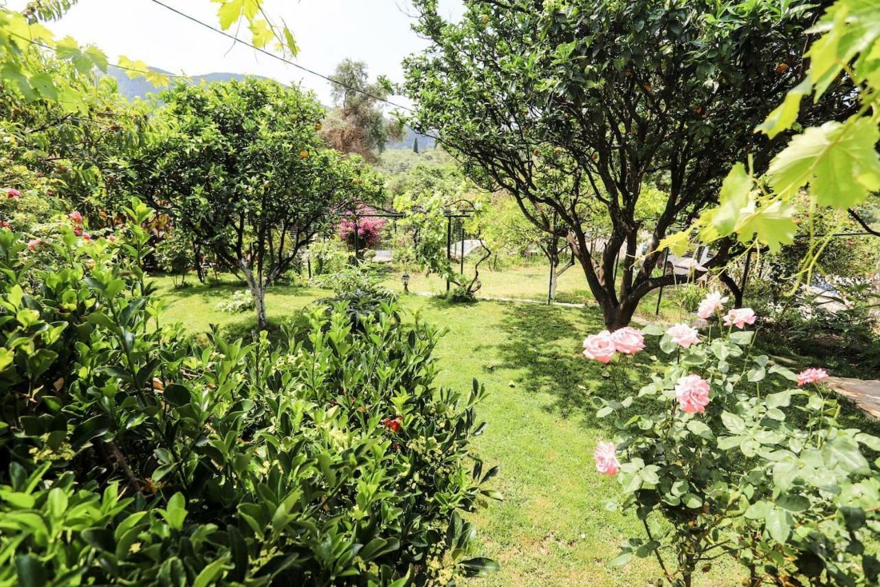 Garden House Kastellani Pensionat Kastellanoi  Eksteriør billede